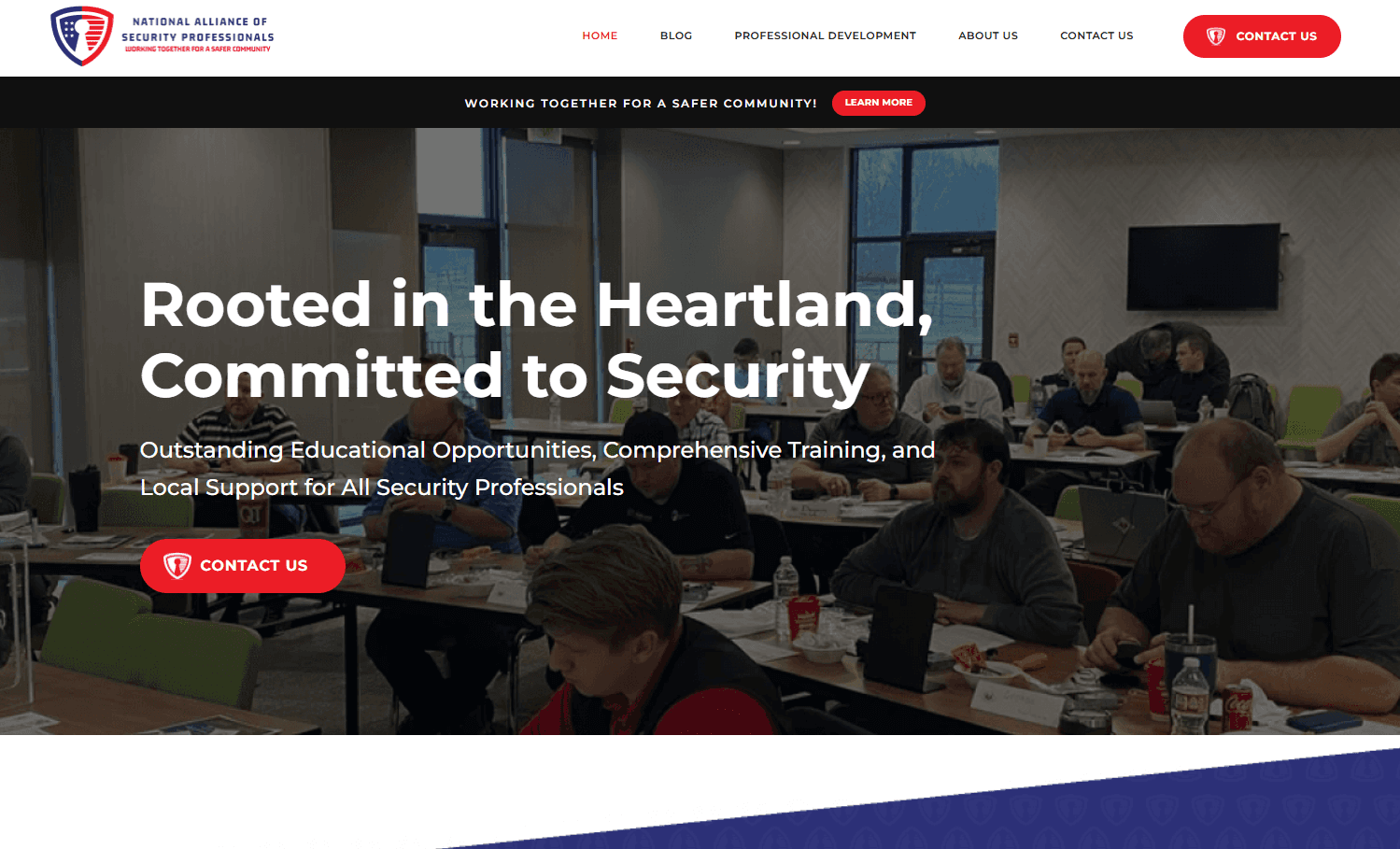 National Alliance of Security Professionals website homepage designed by DewBwah